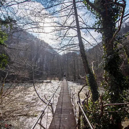 Green Resort Suncuius * Șuncuiuș